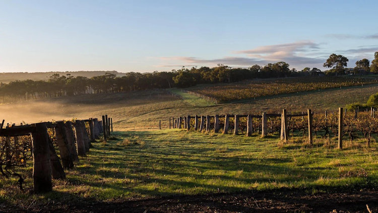Margaret River Wine Country